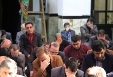 گزارش تصویری پایز جنگل ابر شاهرود